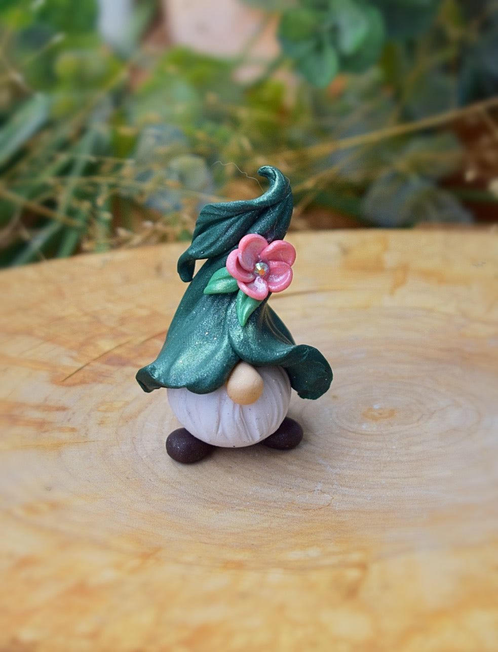 Whisper Fillies Garden rose Gnomie