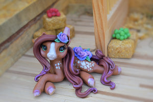 Whisper Fillies Allie the Appaloosa Filly